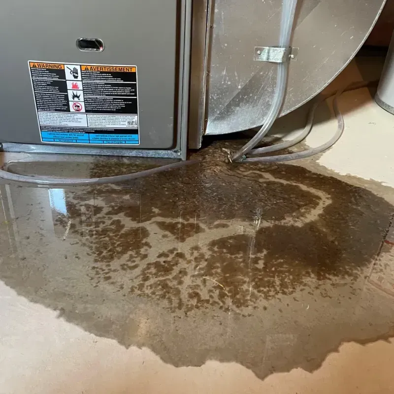 Appliance Leak Cleanup in Hopkinsville, KY